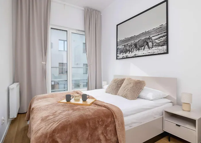 Apartamenty Sloneczna Z Parkingiem W Katowicach By Noclegi Renters